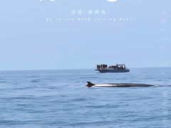 -石螺口海滩