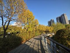 -太阳宫公园