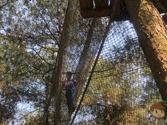 -铁山坪森林公园