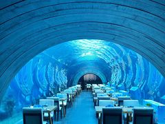 -涛·海底餐厅·美人鱼·自助餐·海底隧道(三亚海棠湾洲际度假酒店)