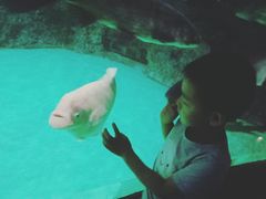 -常州海昌海洋探索馆