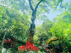 -燕子河大峡谷天坑仙境