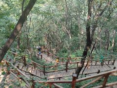 -大岭沟猕猴桃谷风景区