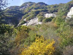 -秦岭风景区