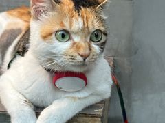 -Again Coffee Roaster(香蜜湖店)