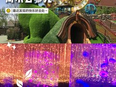 -哈尔滨波塞冬海底世界
