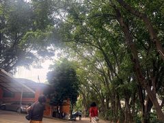 -荔城生鲜盛宴(番禺旗舰店)