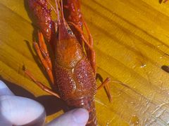 -本色.小马哥烧烤(五一路总店)