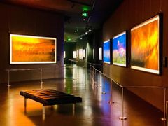 -罗红摄影艺术馆