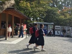 -豆政(金閣寺境内売店)