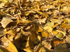 -金堂县云顶石城风景区