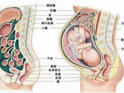 -Dr.林醫生产后修复·超级店(南京江宁同曦店)