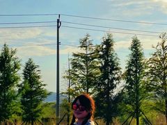 -羊亭河湿地公园