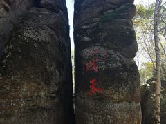 -汤旺河林海奇石景区