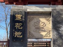 -莲花池公园