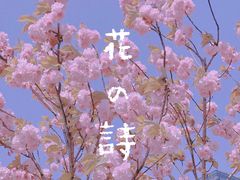 -大宁公园