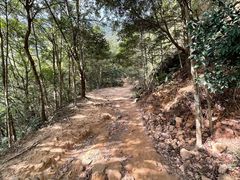 -梧桐山风景名胜区