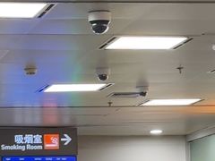 -厦门高崎国际机场-T3航站楼