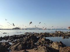 -老味道民宿(栈桥店)