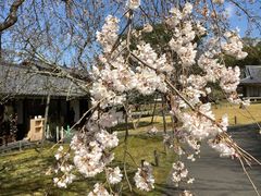 -醍醐寺