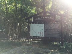 -三爪仑观音岩