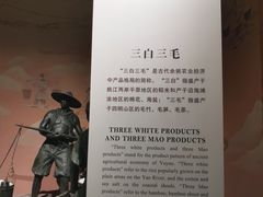 -余姚博物馆