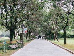 -西湖公园(鼓楼区)