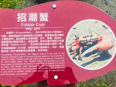 -北海金海湾红树林生态旅游区