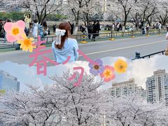 -西北湖绿化广场