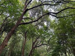 -杭州植物园