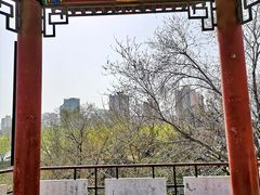 -莲花池公园