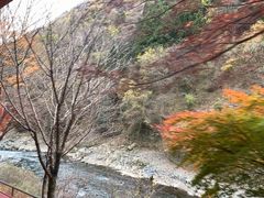 -岚山嵯峨野观光小火车
