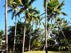 -三亚珠江南田温泉度假区