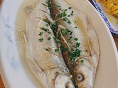 清蒸白鱼-品鲜村农家菜·阳澄湖大闸蟹(总店)