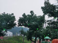 -吉姆冒险世界(蓟州店)