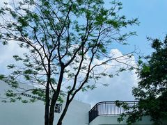 -顺峰山公园
