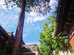 -潭柘寺景区