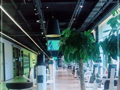 -Liking Fit 24H智能健身(旗舰店)