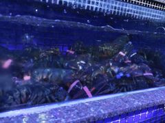 -青蓬蒸汽海鲜·深圳老字号·团建聚会(壹方城店)