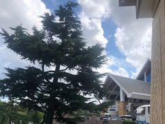 -汤泊温泉度假村