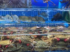 -渔人湾码头海鲜市场负二楼