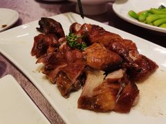 -宝燕壹号(徐汇店)