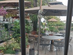 -蘇河湾·新鲁菜·泰山宴(泰山店)