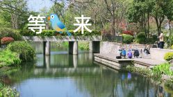-玄武湖景区-情侣园游乐场