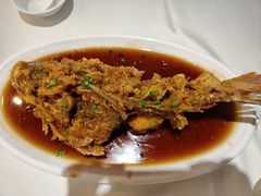 老济南糖醋鲤鱼-金春禧(世茂国际广场店)