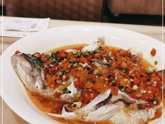 -锦粤宫·精致粤菜(深圳北站店)