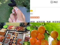 -玫瑰庄园·自助烧烤·烤全羊·团建拓展(龙泉山店)