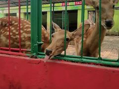 -荆州中山公园动物园