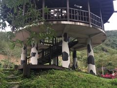 -瑞穗牧场