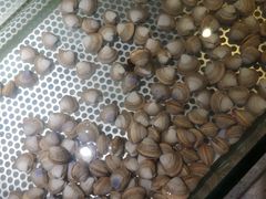 -金权道韩式自助烤肉(嘉华国际店)